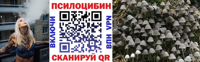как найти наркотики  Алейск  Псилоцибиновые грибы Cubensis 